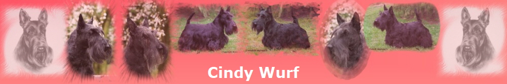Cindy Wurf