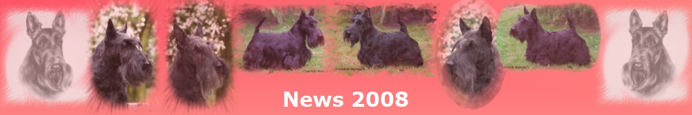 News 2008
